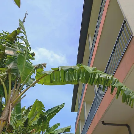 Garden Palace Downtown Koror-3