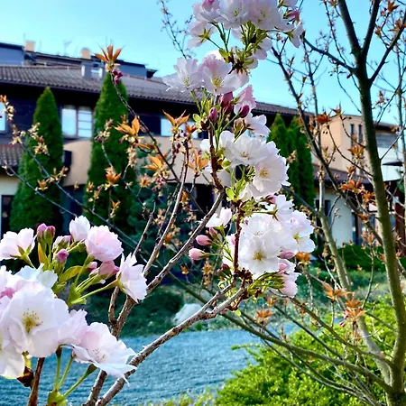Caramell Premium Resort-2