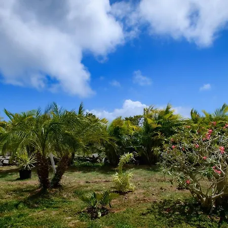 Club Vieques - Adults Only Resort - Lgbt Friendly-3