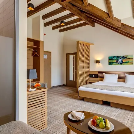 Ana Hotels Sport Poiana Brasov-3