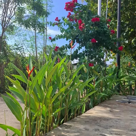 Guest House D Valeri-3