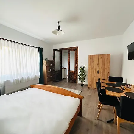 Wood & Moss Apartment - Central - Free Parking - Nice Garden-3