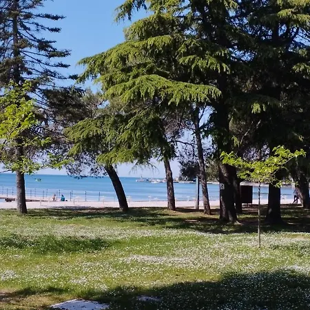 Magnolia Garden, 12 Min Walk To The Beach-3