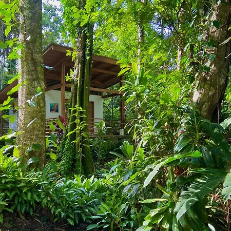 Satta Lodge (Adults Only)-3