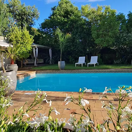 Wild Olive Guest House & Villa-3