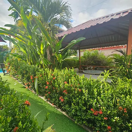 Ballena Rey Hotel-2