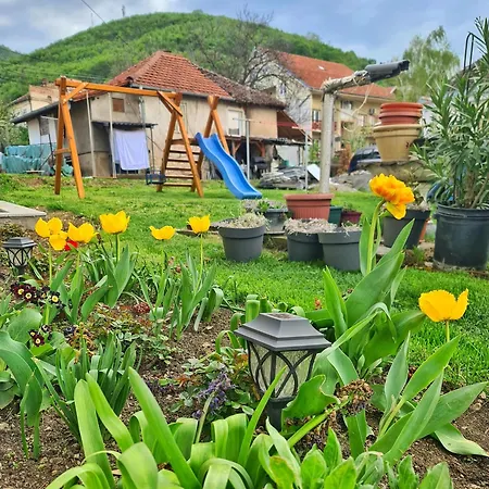Vila Aleksandra 2 Apartman 1-3