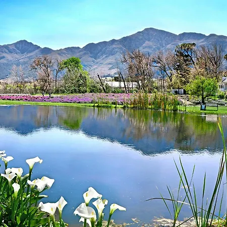 Lavender Farm Boutique Guest House-2