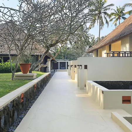 Alila Manggis-2