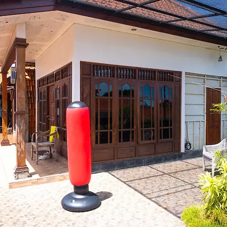 Naughty Nest Hostel Bali-2