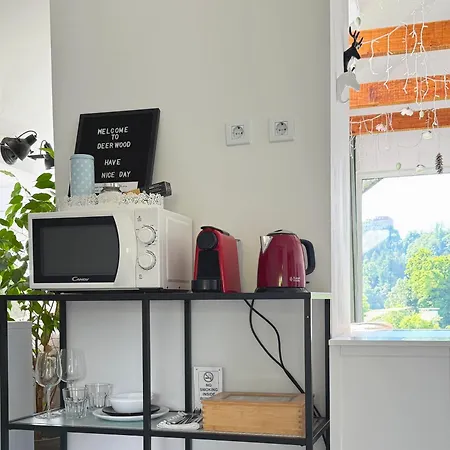 Deerwood-Sky Attic With Bled Castle View-No Kitchen-3