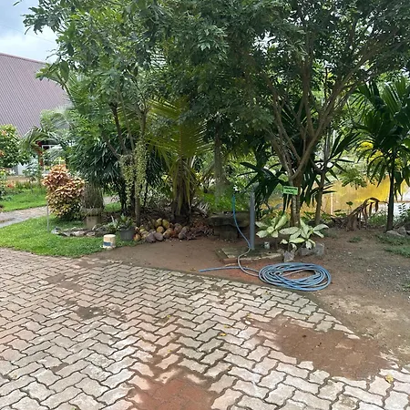Steps Garden Resort-2