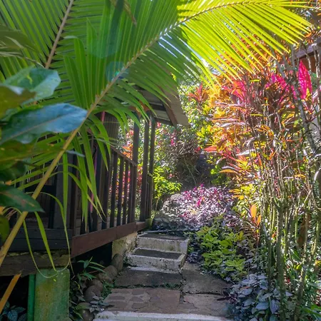 Hibiscus Valley Inn-2