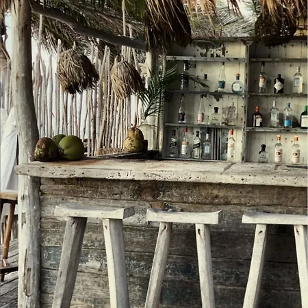 Casa Violeta-2
