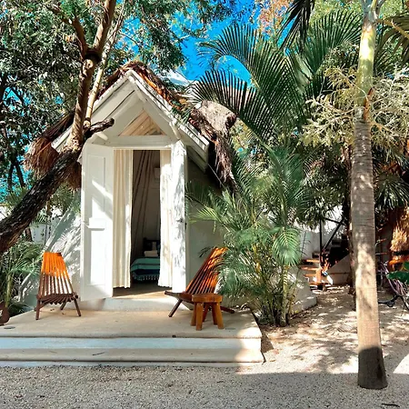 Mimosa Tulum-2