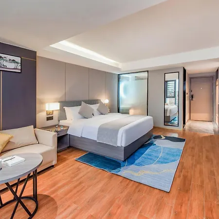 Shangpin Holiday Inn Guangzhou Baiyun International Airport Branch-3