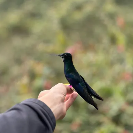 El Refugio Del Colibri-2