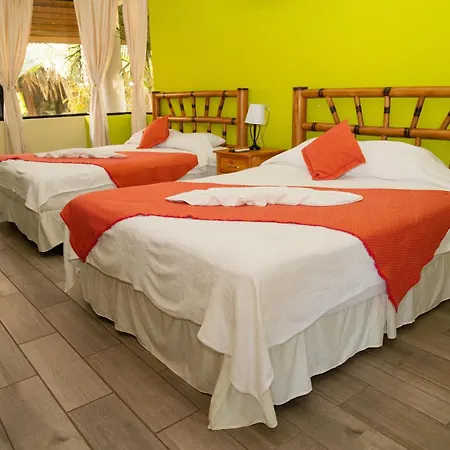 Banana Palms Hotel-2