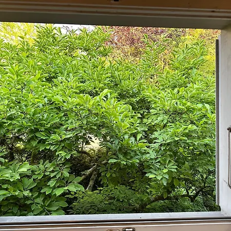 Bears View Bb-3
