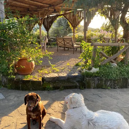 Agriturismo L'Olivara-3