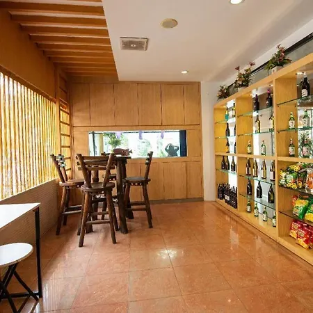 Lovina Inn Penuin Hotel-2