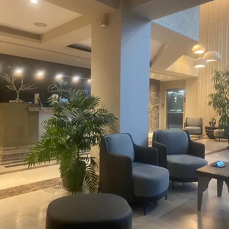 Queen'S Hotel - Zebra Centre-2
