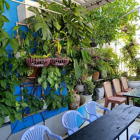 Nha Nguyen Can Dung Vinh Homestay Vung Tau-2
