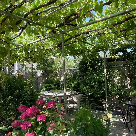 Mari Guest House-3