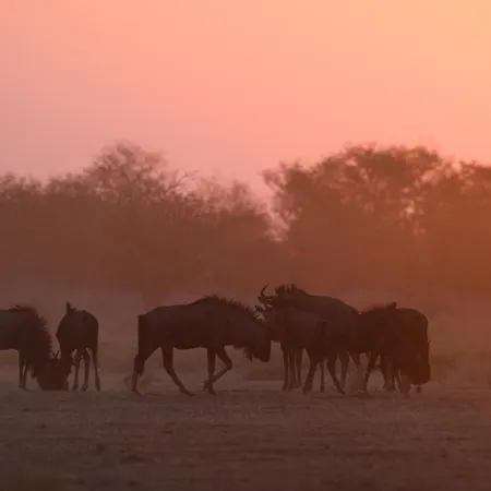 Safarihoek Lodge-2