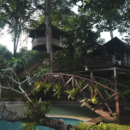 Green Tree House Villa Ubud-3