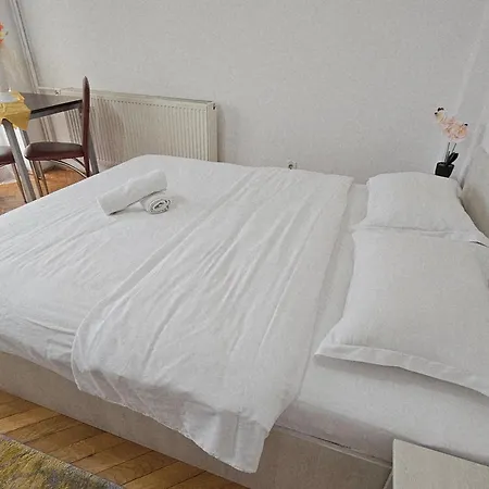 Apartment Zarnesti City Centre Vmp Free Parking-2
