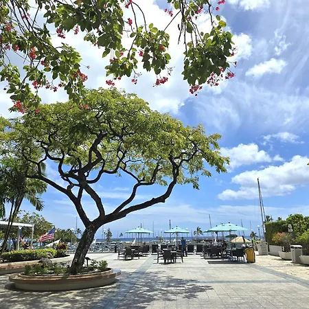 New Aloha Waikiki Ilikai Hotel Condo Free Parking-2