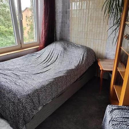 Your Room In A Three-Room Apartment With A Shared Kitchen, Bathroom, And Toilet-2