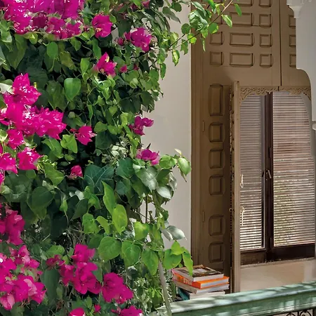 Riad Jaaneman-3