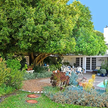The Garden View Suite-3