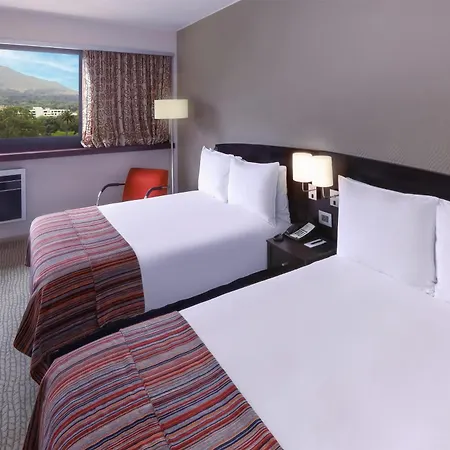 Southern Sun Newlands-2