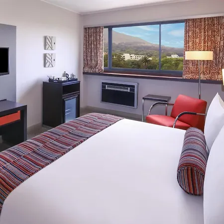 Southern Sun Newlands-3