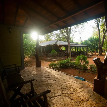 Funk Bunks - Sigiriya-3