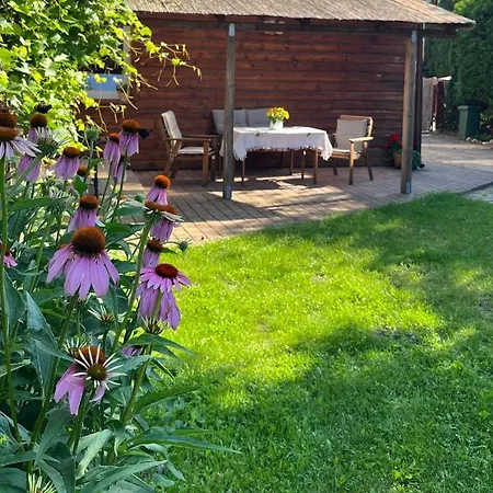 Domek Mlodosci Z Ogrodem-2