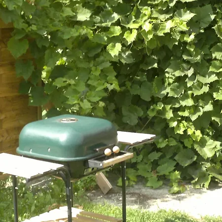 Domek Mlodosci Z Ogrodem-3