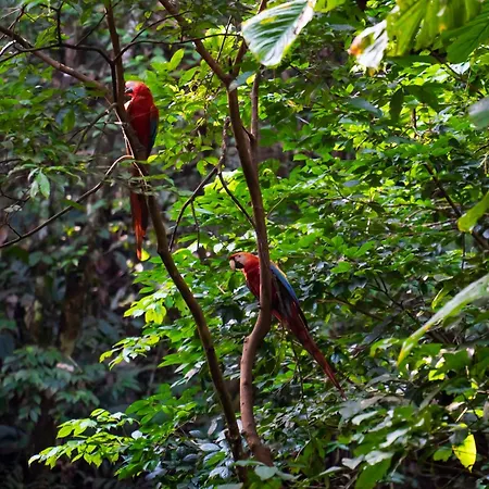 La Selva Eco-Lodge & Retreat-3