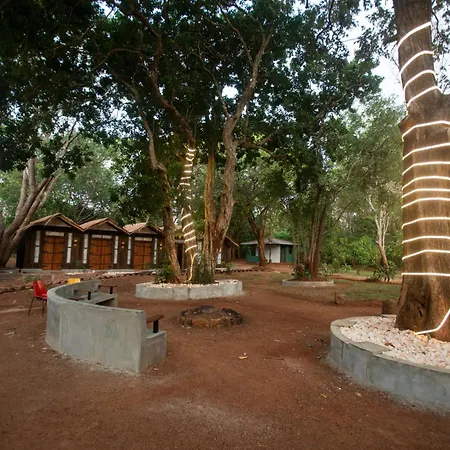 Funk Bunks - Sigiriya-2