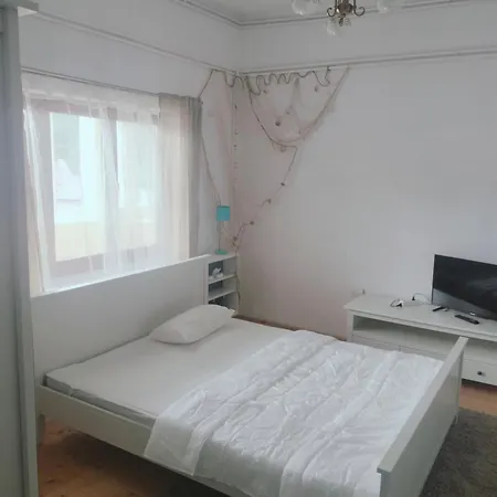 Vila Vlad-3
