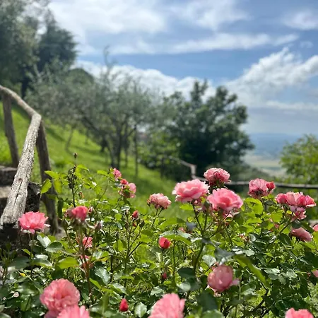 Agriturismo Casa Paradiso-3