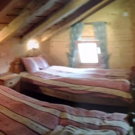 Chalet Suisse Bed And Breakfast-3