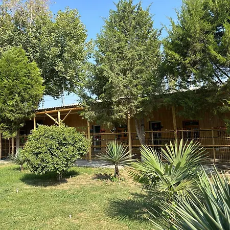 Soy Buyi Garden-3
