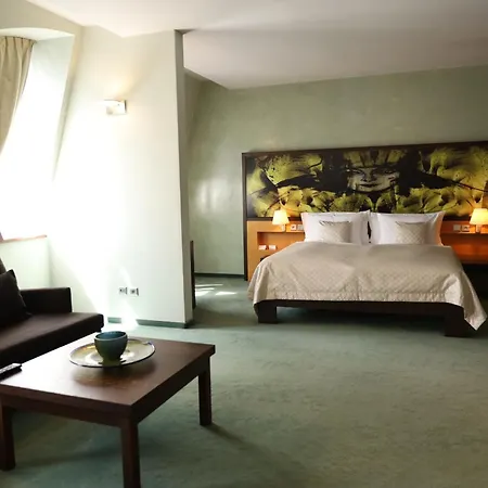 Boutique Hotel Dubna Skala-3