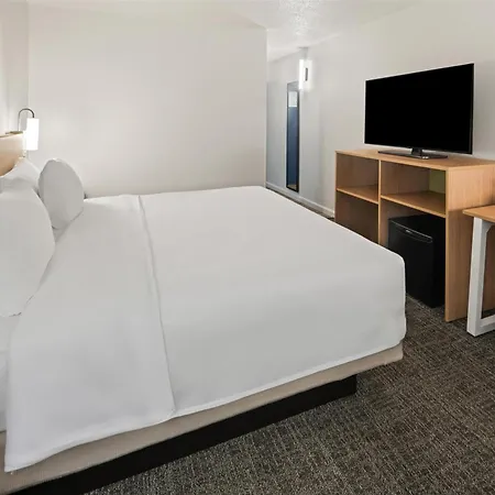 Spark By Hilton Waldorf-3