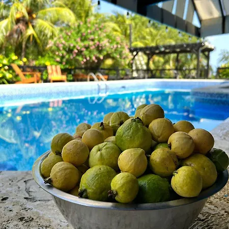 Guava Grove Resort & Villas-2