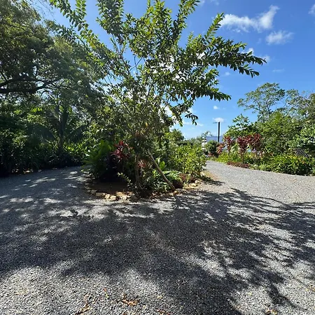 Guava Grove Resort & Villas-3